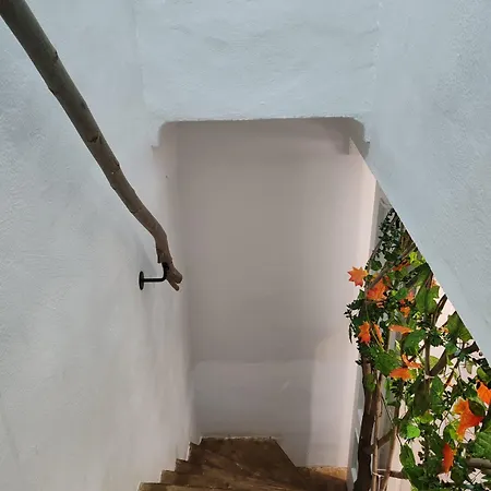 Apartment Casa Buenavista *